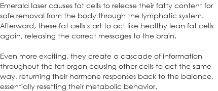 Emerald laser causes fat cells to release their fatty content for safe removal from the body through the lymphatic system. Afterward, these fat cells start to act like healthy lean fat cells again, releasing the correct messages to the brain. Even more exciting, they create a cascade of information throughout the fat organ causing other cells to act the same way, returning their hormone responses back to the balance, essentially resetting their metabolic behavior.